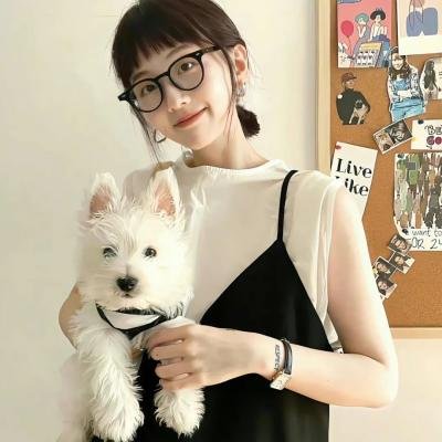 战火中的小狐狸