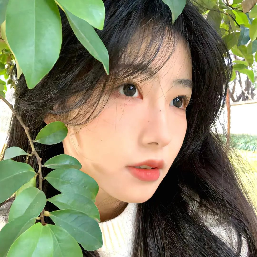 狼侠