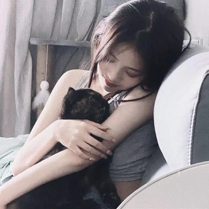 云上情歌